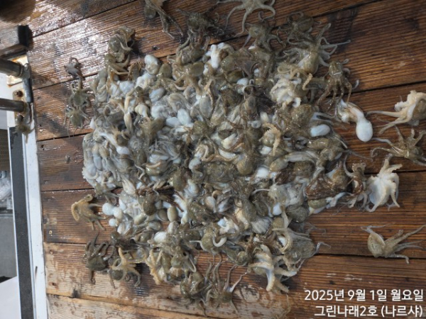 7298d4a0fcc91934d456910ef1633e93.jpg