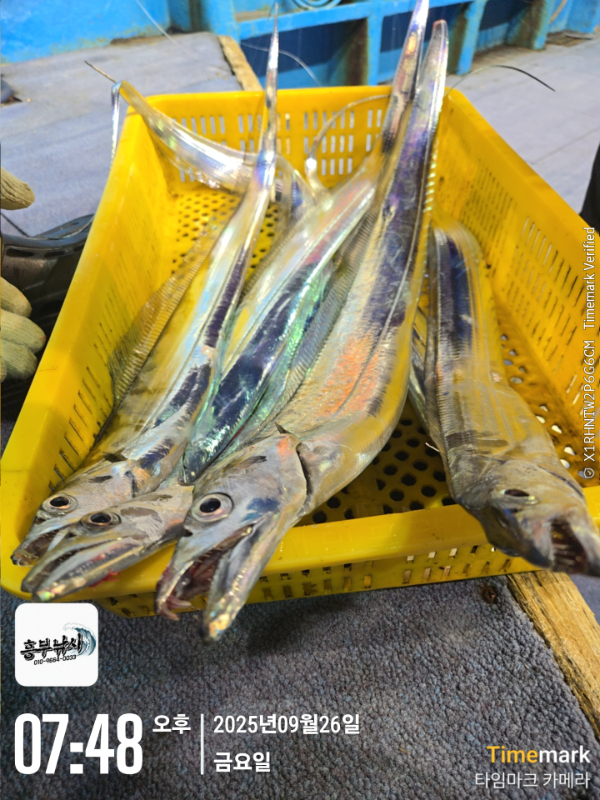 2025-09-26 07.48.08_.jpg