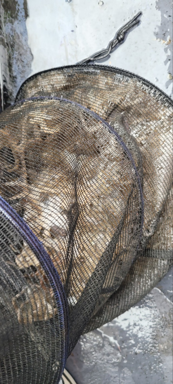 예지퀸호 농어외수질&어초낚시 경기인천권_사진_20250928_11.jpg