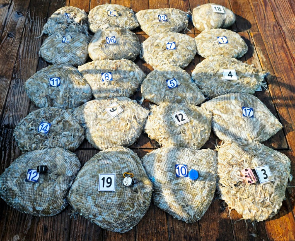 d1.jpg