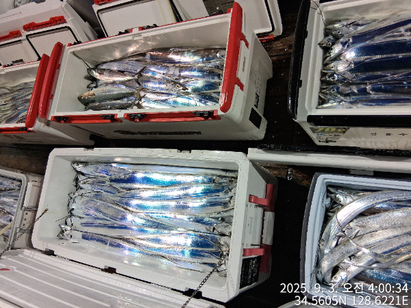 72ed881cc300b66f578d52ecd71beb88.jpg