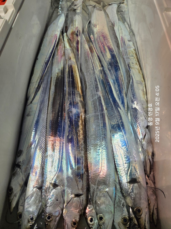 EFBE8F59-FC2D-4A44-89BA-CF5785D26A4F.jpeg