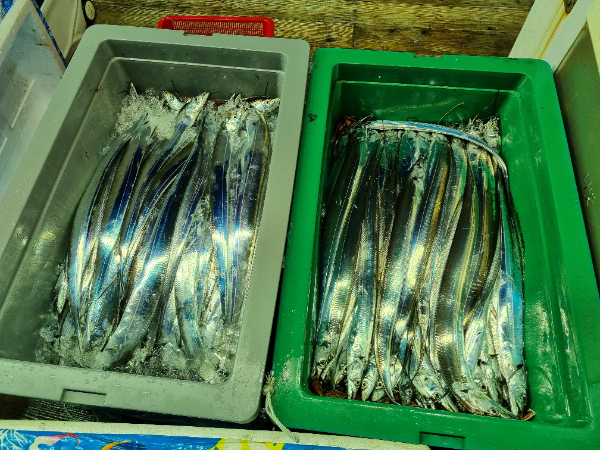 1000023646.jpg