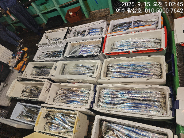 KakaoTalk_20250915_100834010_06.jpg