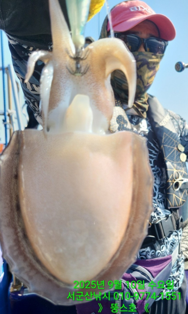 군산 선상낚시, 바다낚시 출조 전문 ☆서군산낚시☆_사진_20250910_7.jpg