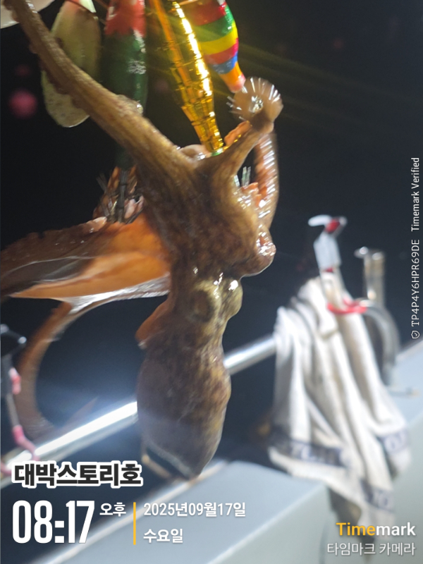 2025-09-17 08.17.30__(대박스토리호).jpg