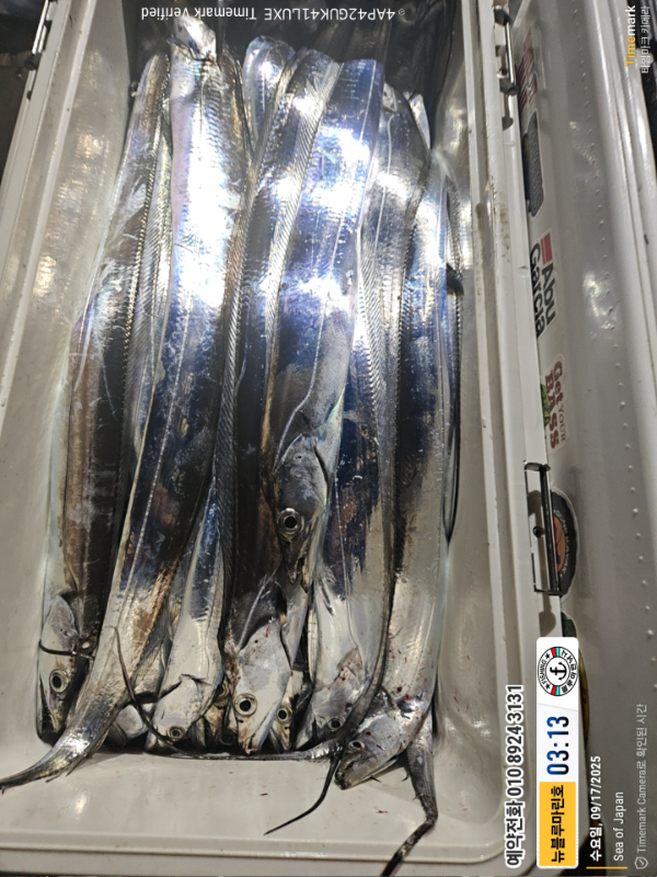 2025-09-17 03.13.49_Japan_(제목-뉴블루마린호)_(예약전화 010 8924 3131).jpg