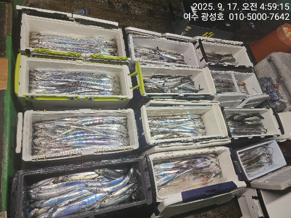 KakaoTalk_20250917_134708005_10.jpg