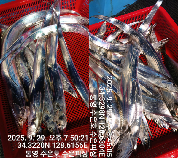 1759176305950-tile.jpg