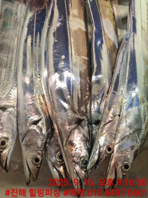 KakaoTalk_20250916_225227012_03.jpg
