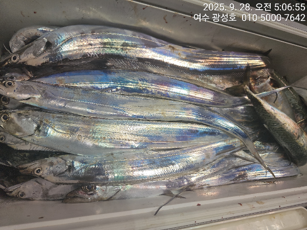 KakaoTalk_20250928_162921439_08.jpg
