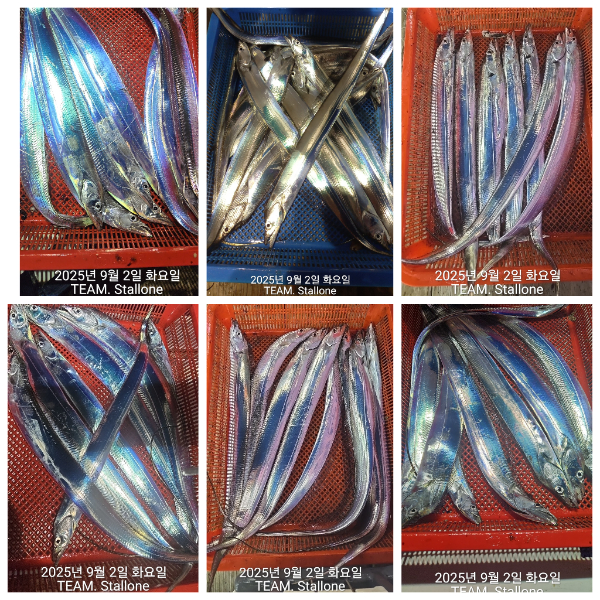 1000045334.jpg