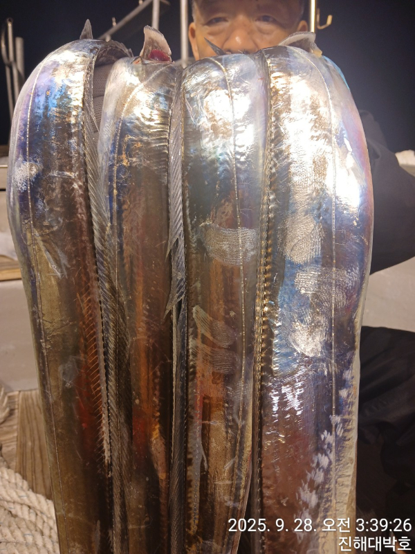 KakaoTalk_20250928_075817890_15.jpg