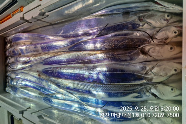 76dc8614b2d341d3b9ecc93303b7fdd6.jpg