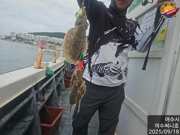 77c38be46353a92cf17ed4bfb231c98b.jpg