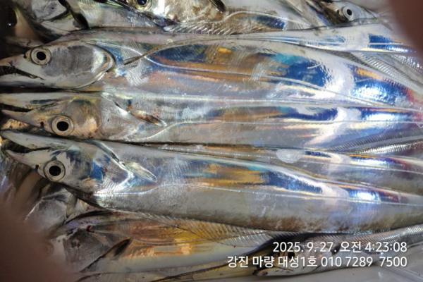 780b6c37fd2ee89da6b64562c8f44c58.jpg