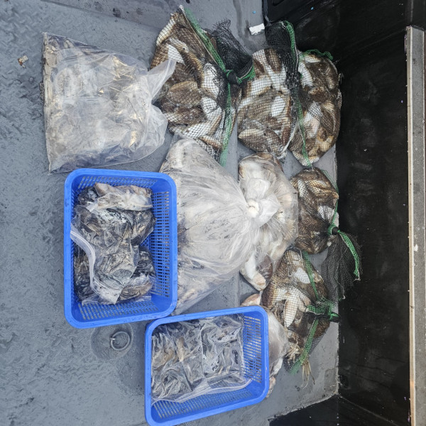 ꫛꫀꪝ✧‧˚ 태안 마검포 新출항호 .• _˚☀₊_사진_20250910_2.jpg