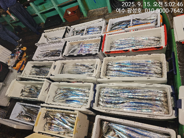KakaoTalk_20250915_100834010_05.jpg