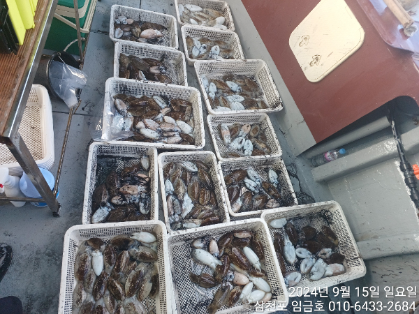 79ffa97c3d027862dd2dc334895547b9.jpg