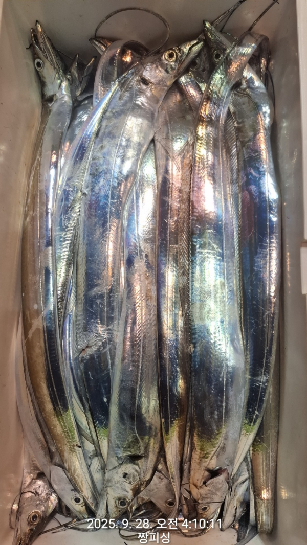 1000061542.jpg