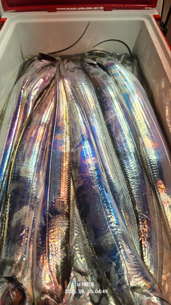 7b1c9438d3432424c947d4494893b692.jpg
