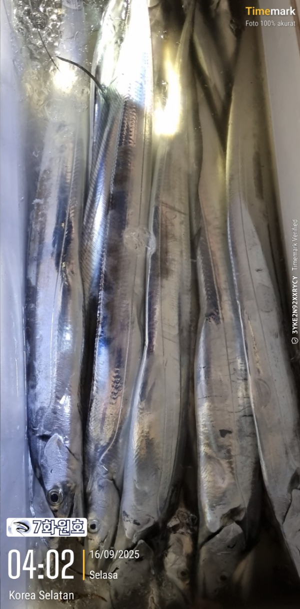 1676E463-1E98-4E2F-B4C3-9C7133C80545.jpeg