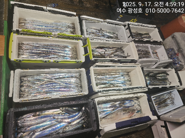KakaoTalk_20250917_134708005_06.jpg