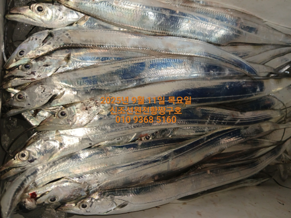 KakaoTalk_20250911_041702052_11.jpg