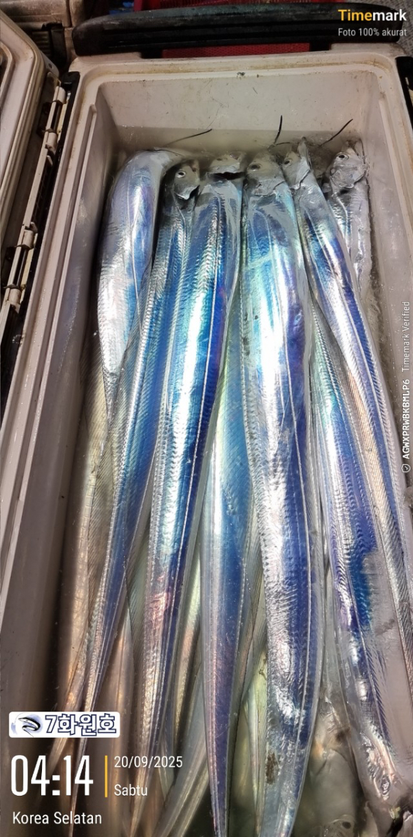 77365315-ECCF-47C0-A4C4-BAAAB5F424B8.jpeg