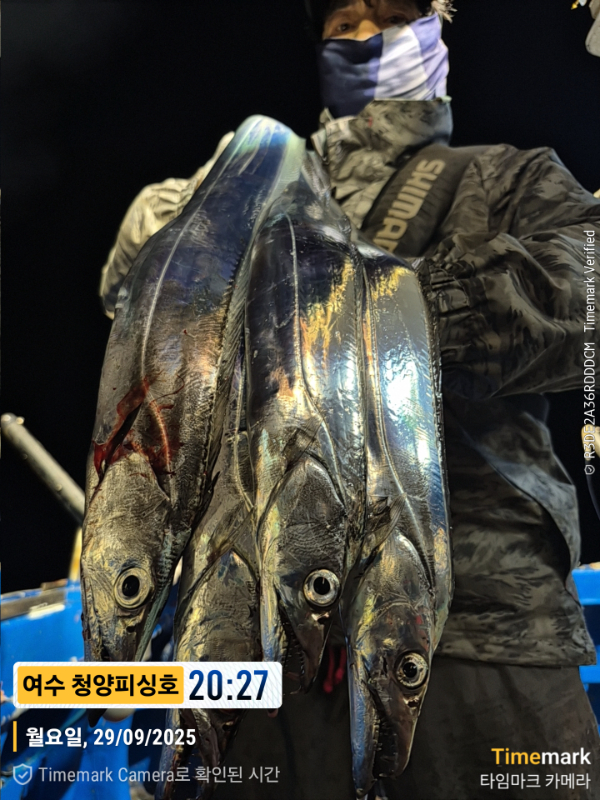 2025-09-29 20.27.01__(제목-여수 청양피싱호).jpg