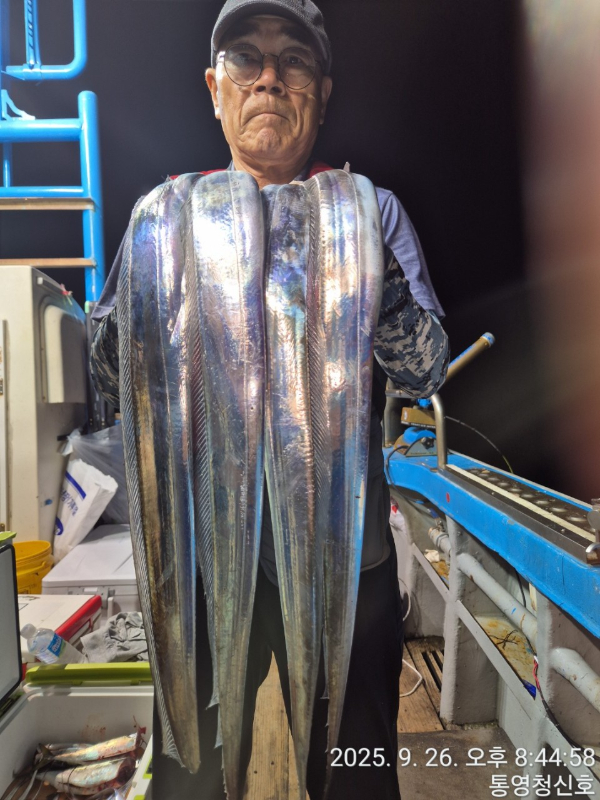 통영청신호입니다_사진_20250927_2.jpg