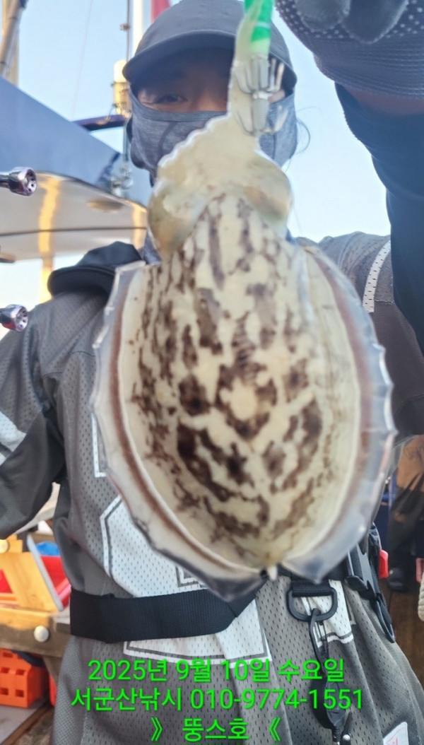 군산 선상낚시, 바다낚시 출조 전문 ☆서군산낚시☆_사진_20250910_18.jpg