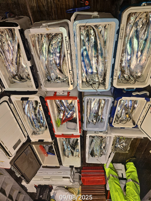 BA4A2CA2-AB28-4BCD-9381-5E31040F8349.jpeg