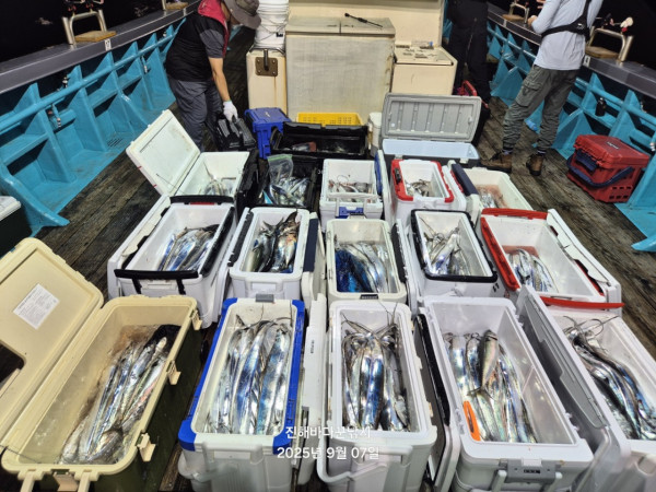 바다꾼낚시(신아라호)_사진_20250907_3.jpg
