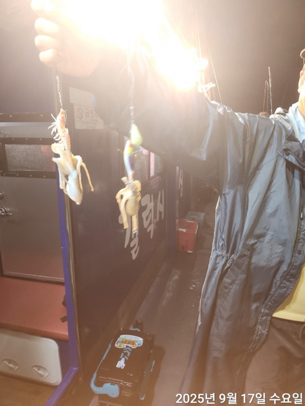 군산 선상낚시, 바다낚시 출조 전문 ☆서군산낚시☆_사진_20250917_3.jpg