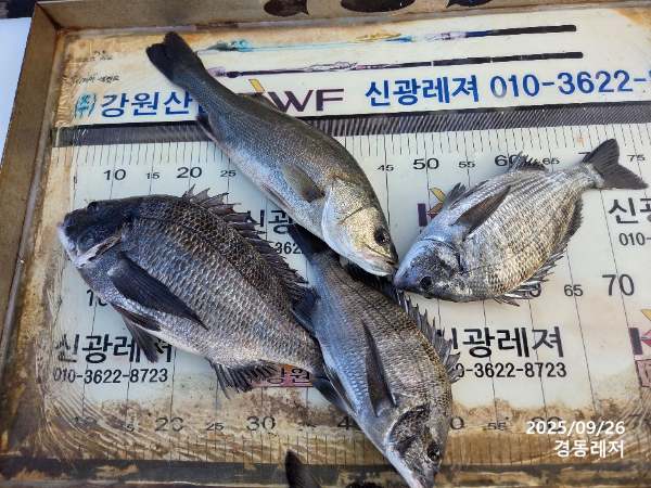 슬라이드0006.jpg