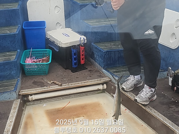 20250915_140648.jpg