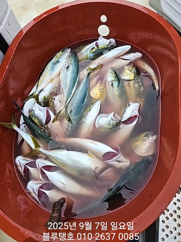 20250907_163027.jpg