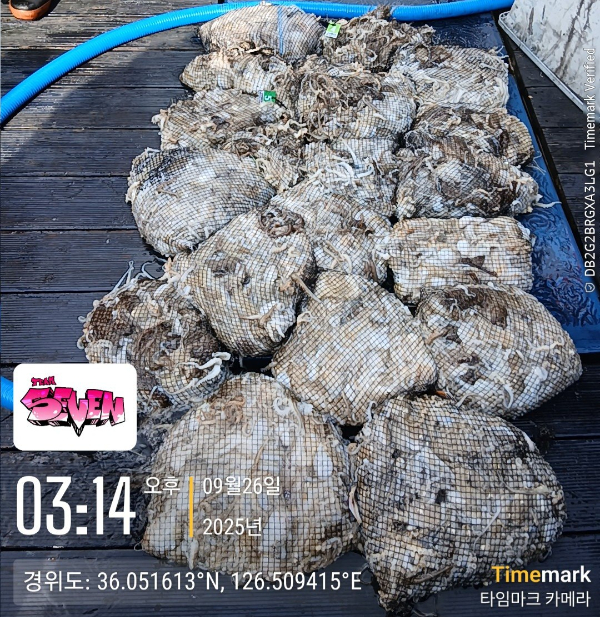 d_f6bUd018svc1by0punr3vs7m_82sd02.jpg