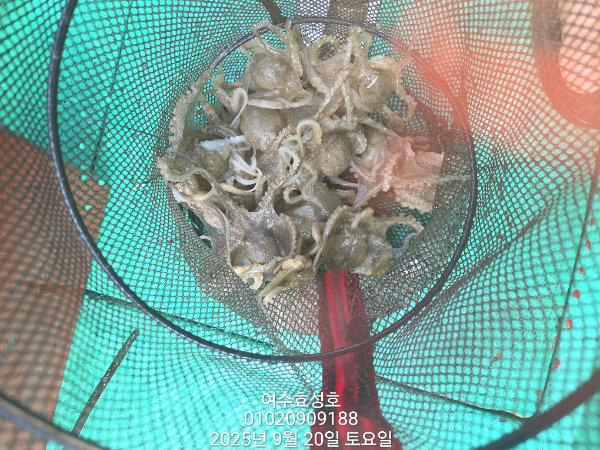 80cac3b770f213bc7c3097c29f18e5ee.jpg