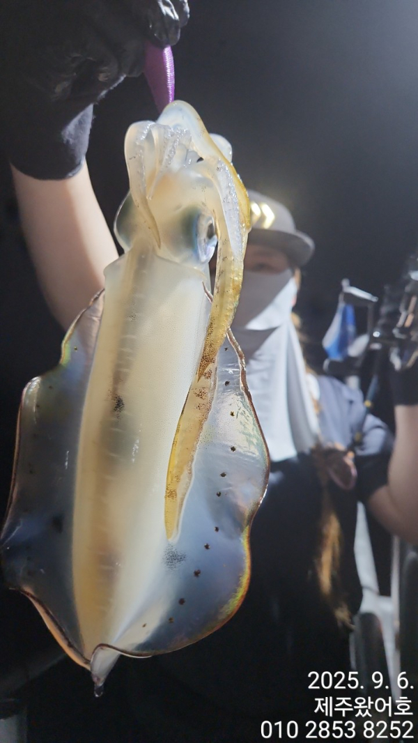 제주왔어호_사진_20250907_13.jpg