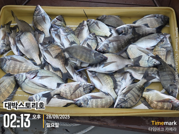 2025-09-28 02.13.19__(대박스토리호).jpg