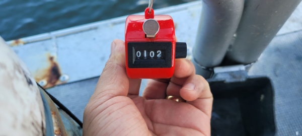 예지퀸호 농어외수질&어초낚시 경기인천권_사진_20250902_10.jpg