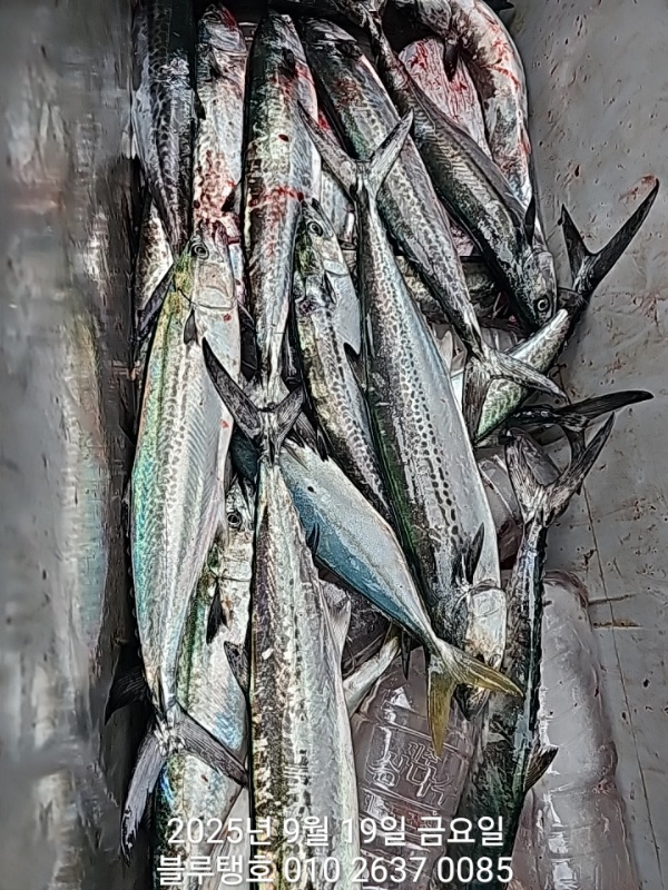20250919_172357.jpg