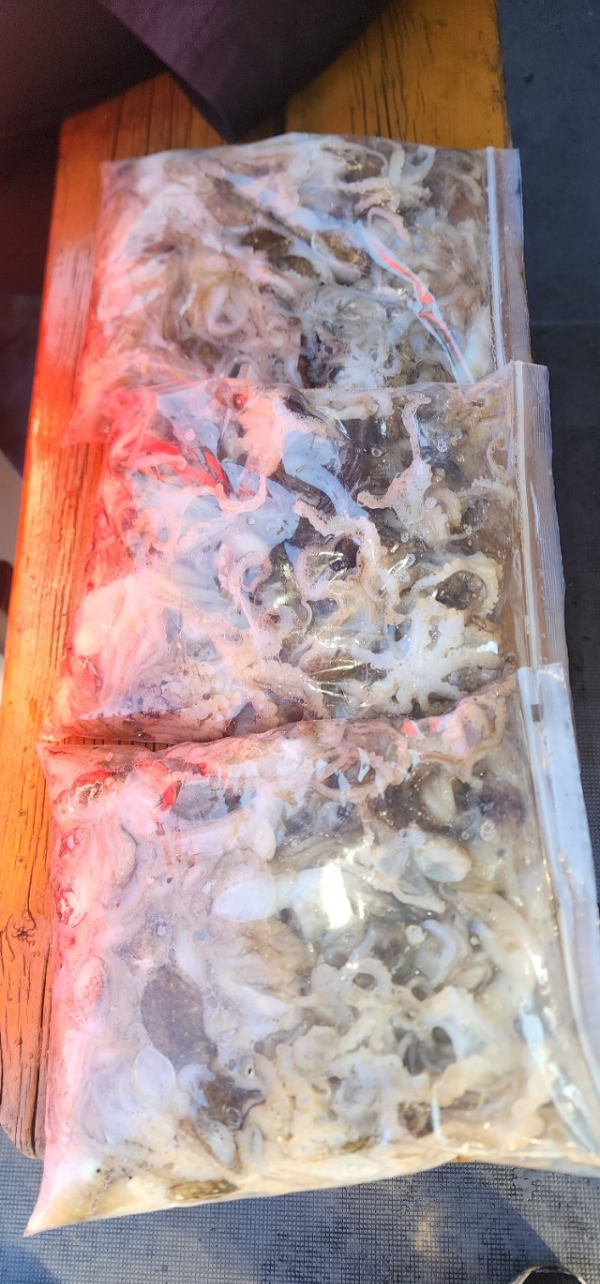 예지퀸호 농어외수질&어초낚시 경기인천권_사진_20250918_16.jpg