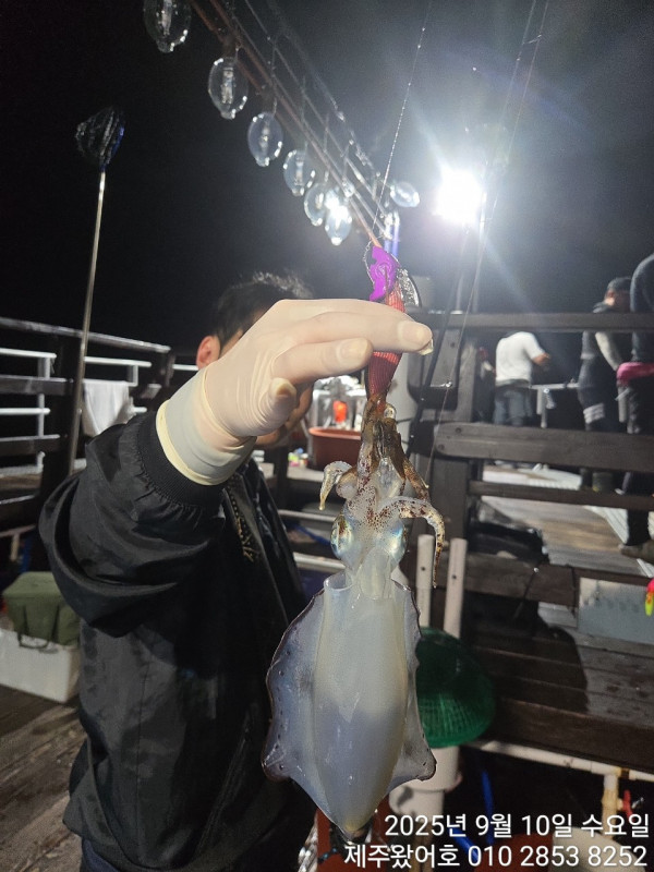 제주왔어호_사진_20250913_40.jpg