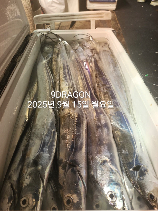 96B76C43-1AE4-4C4E-B9ED-171686F62DAE.jpeg