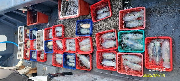 DateCamera0914083956.jpg