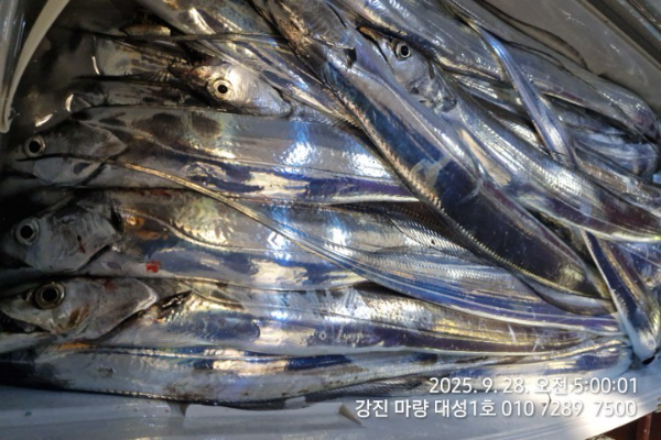 82dbce607f23b68958dabc331093c641.jpg