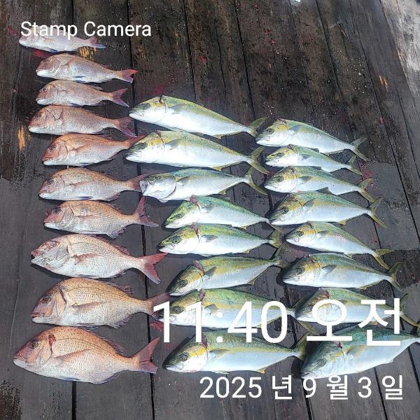 StampCamera20250903114047.jpg